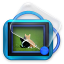 pics pets